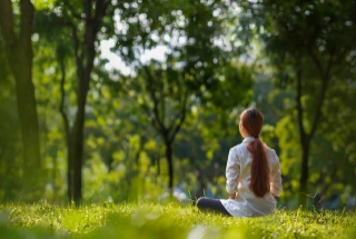 Nature Comfort